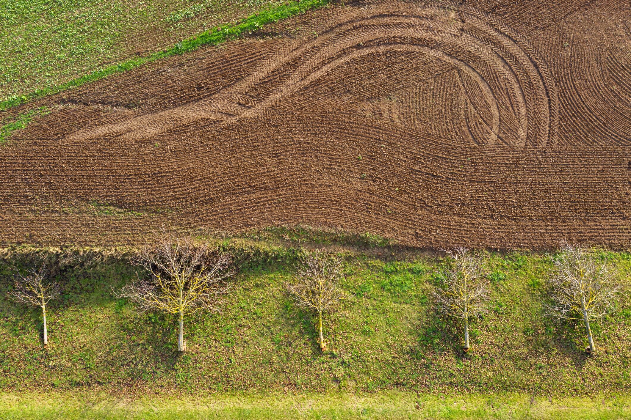 Lithuanian soil boasts ‘outstanding’ carbon sequestration potential.