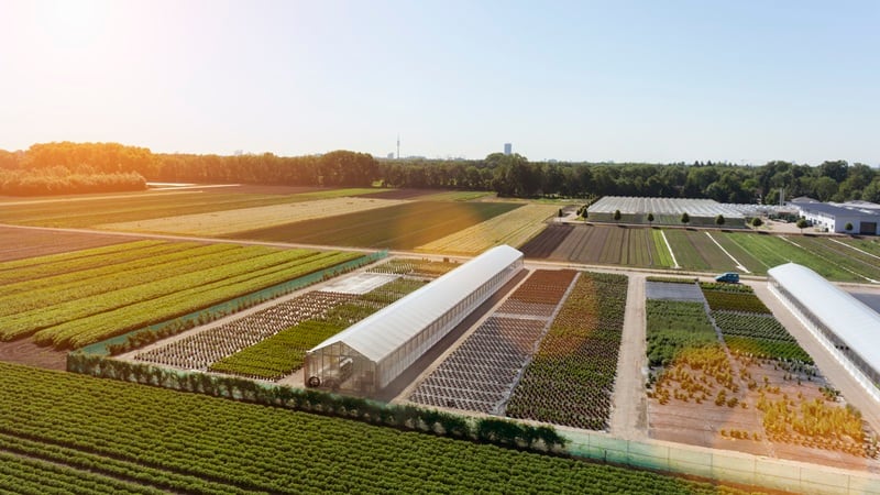 Mixing indoor and outdoor agriculture could be key food security.