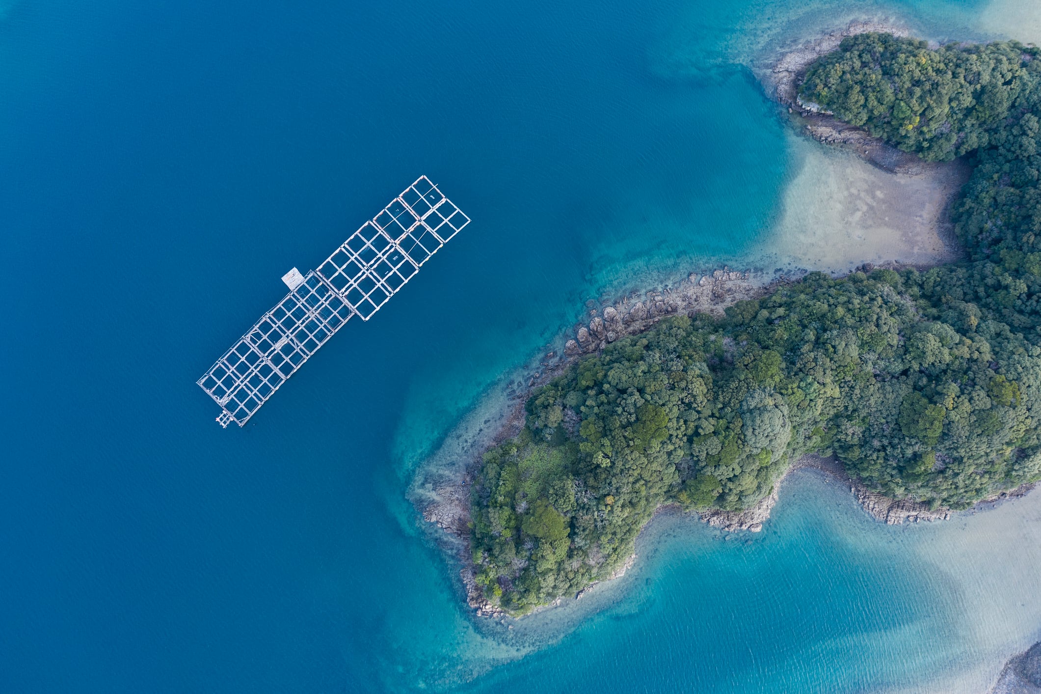 Turning to tech: Japan promotes smart fisheries to turn around declining industry