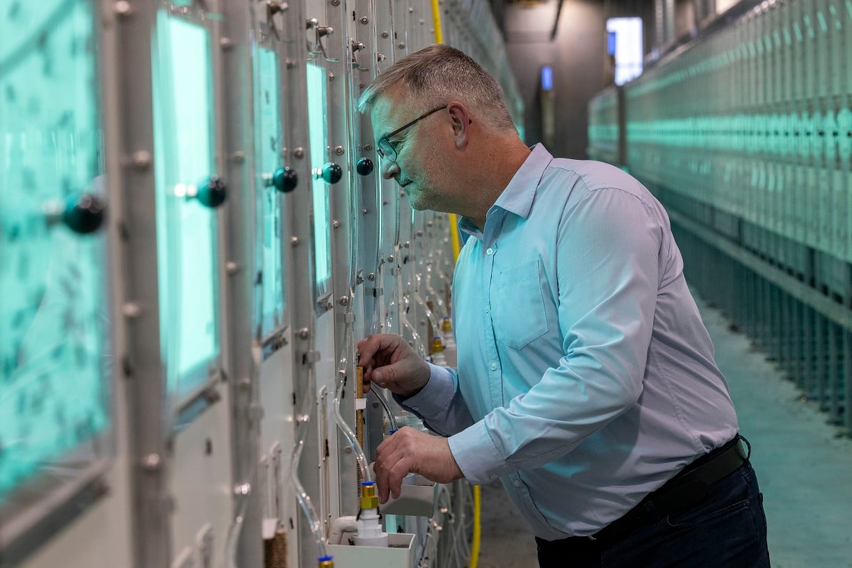 Enorm completes large-scale insect production facility in Denmark