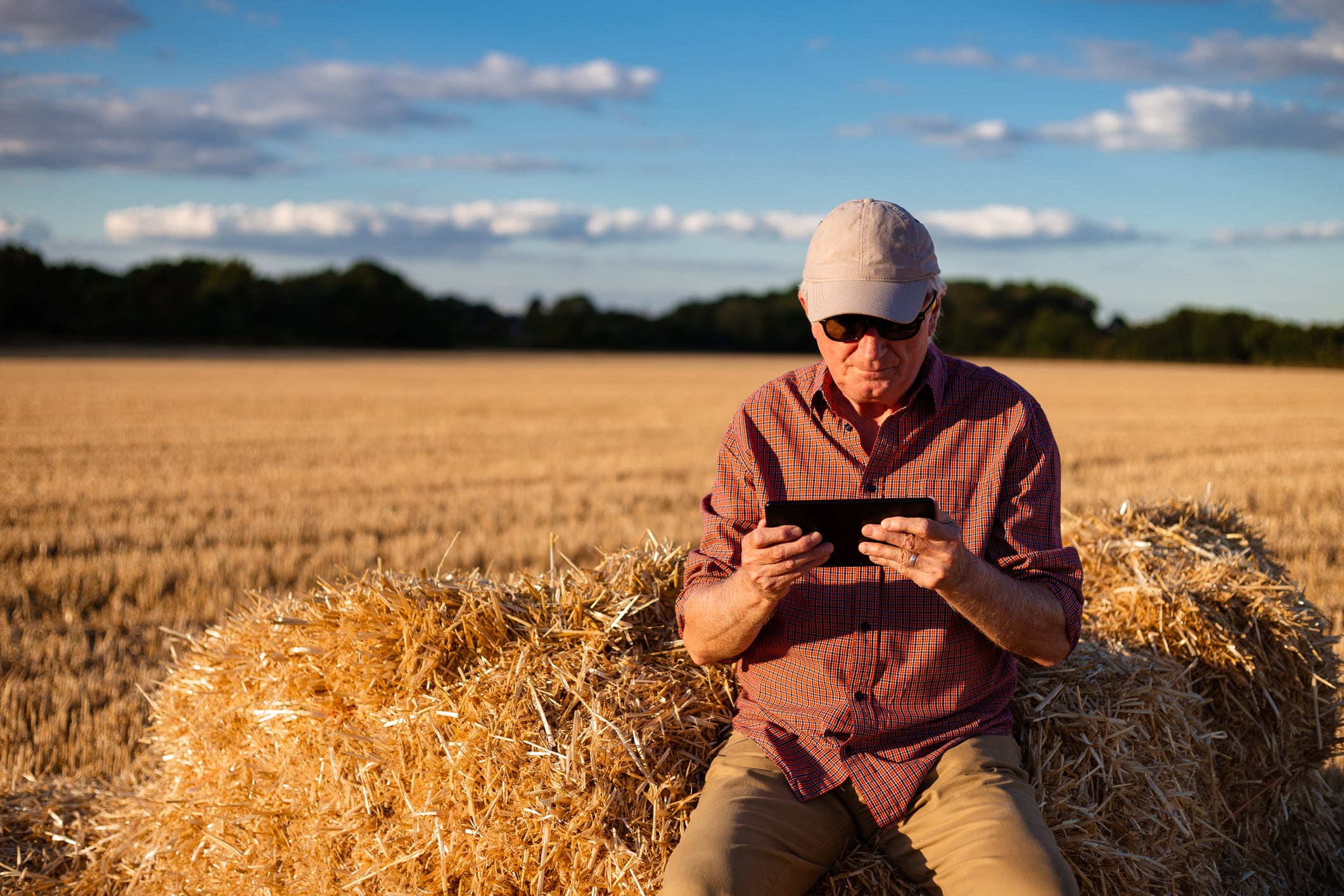 Without targeted support, the agri-food sector risks falling behind other industries, undermining progress on climate and food security, researchers warn.