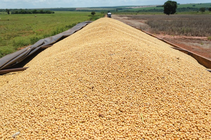 Louis Dreyfus to add to soy crush capacity in US with new build