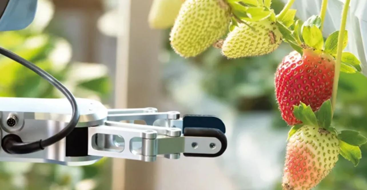 Netherlands-based agrifoodtech venture capital fund celebrates final closing