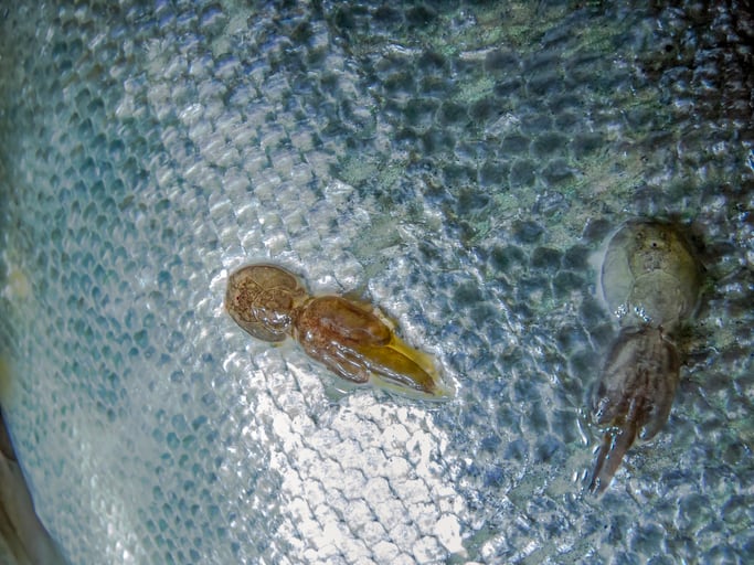 GettyImages-1214388995.jpg