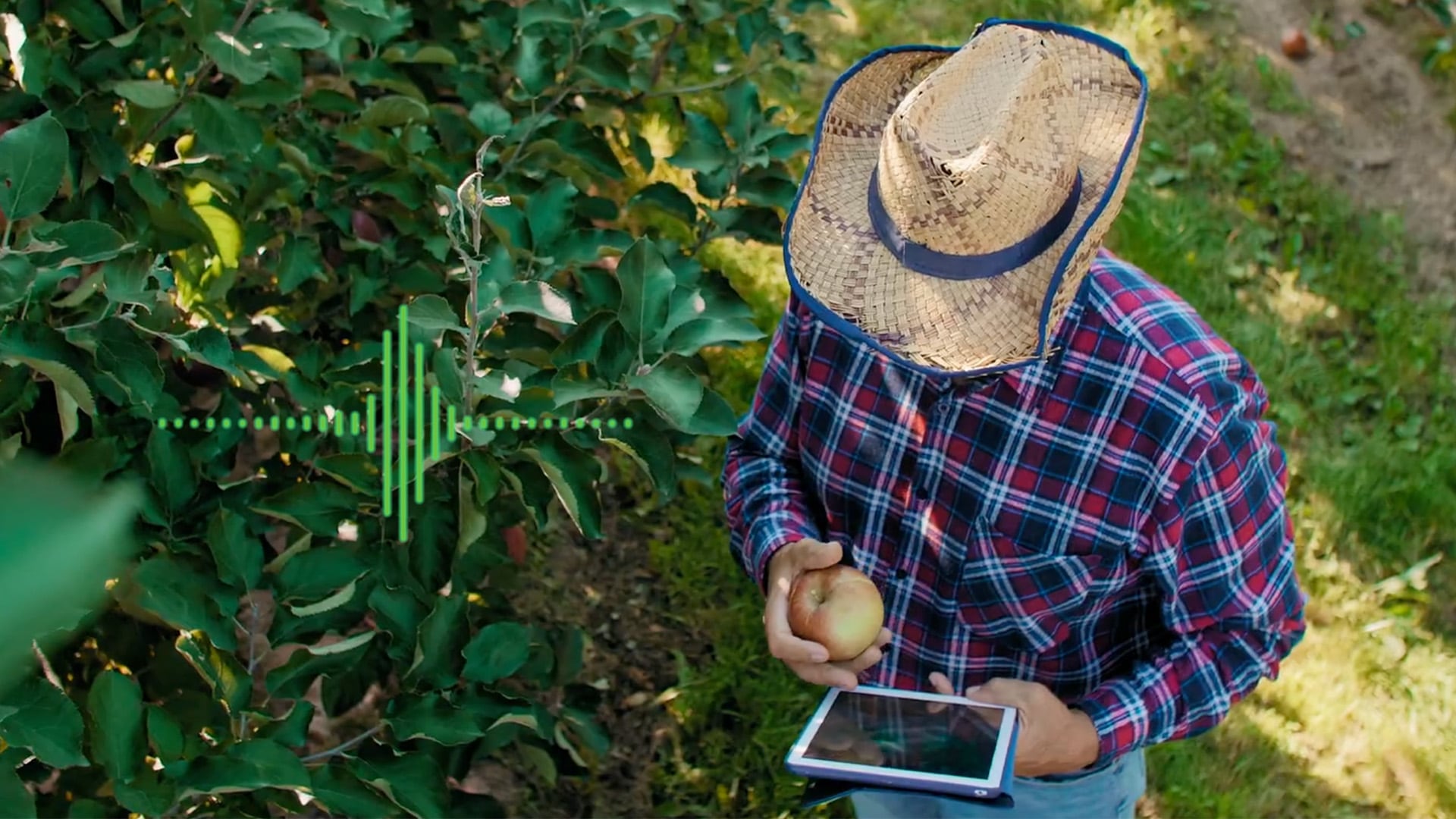 A farmer in a field with a tablet