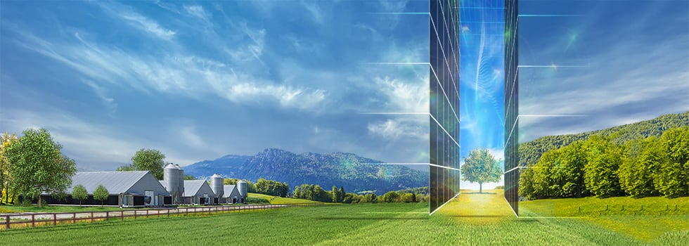 Science-supports-further-opportunities-for-feed-cost-reduction.jpg