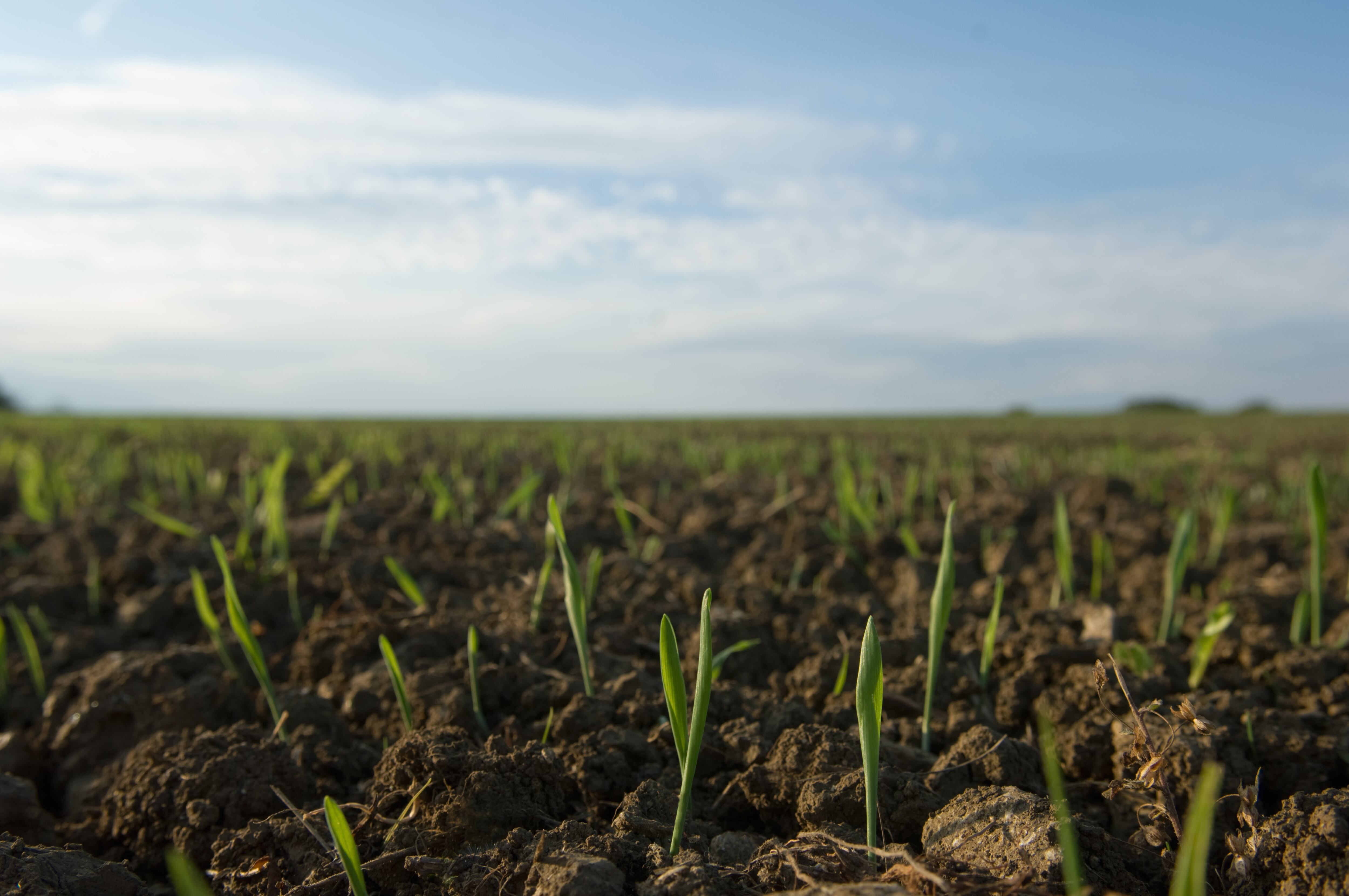 Can the AgList launch cure the scepticism surrounding biologicals?