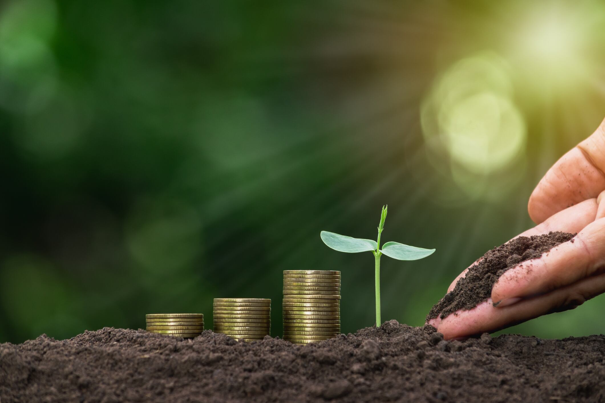 Hand of person holding soil and with coins, plant on nature background.