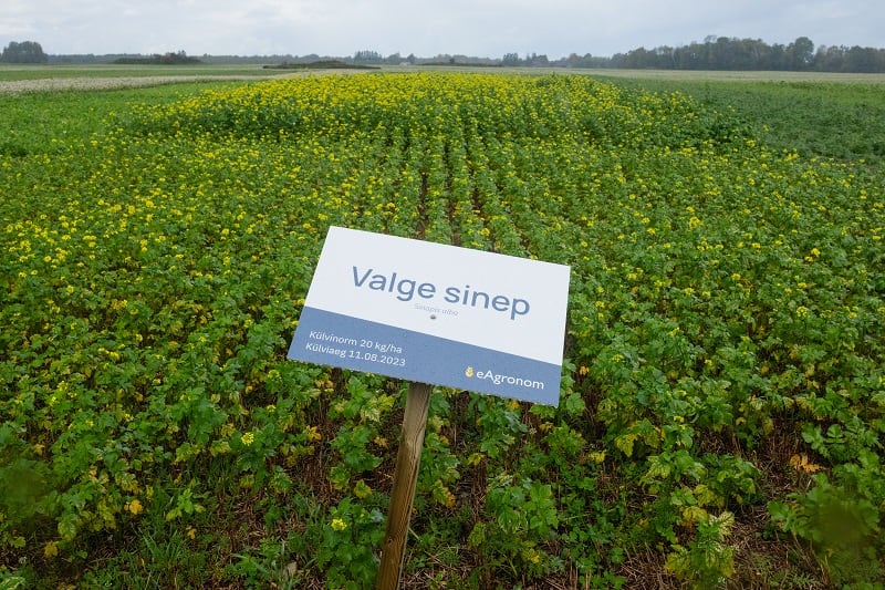 eAgronom launches series of trials with partner farms across Europe