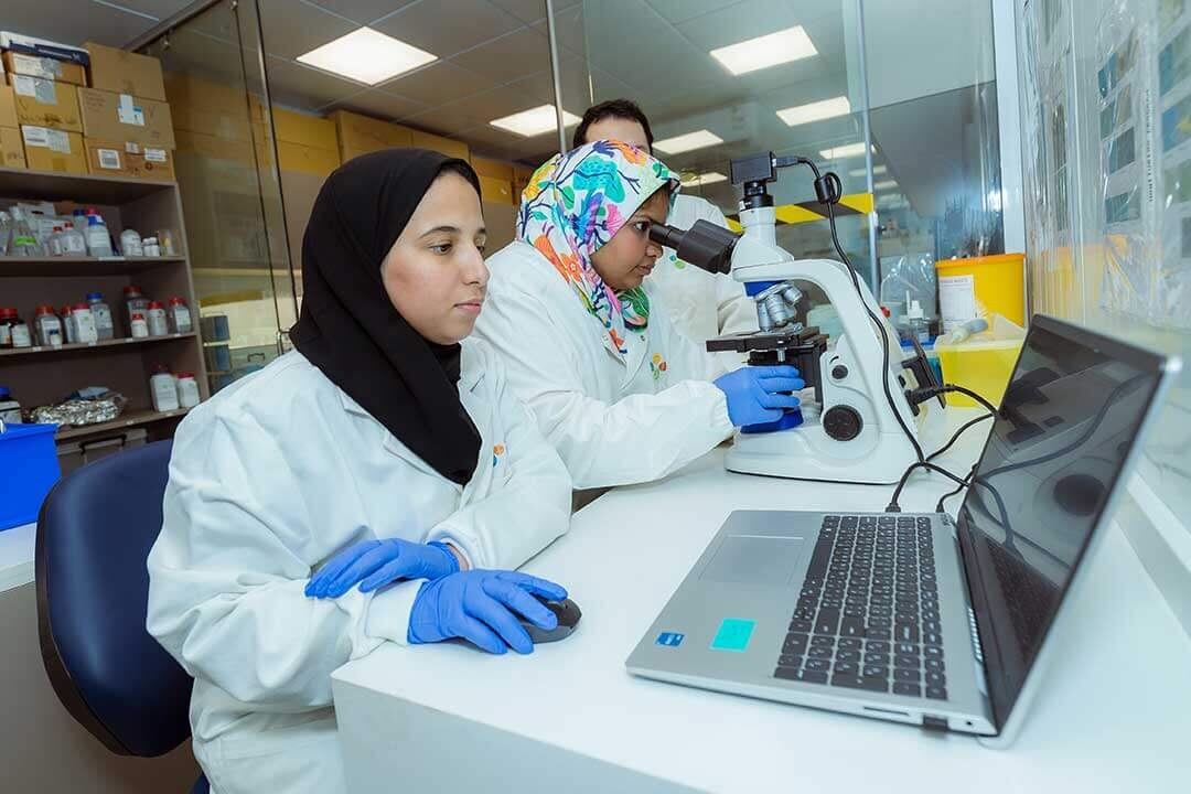 Saudi based scientists could turn the tide on animal feed imports with novel algae farming model