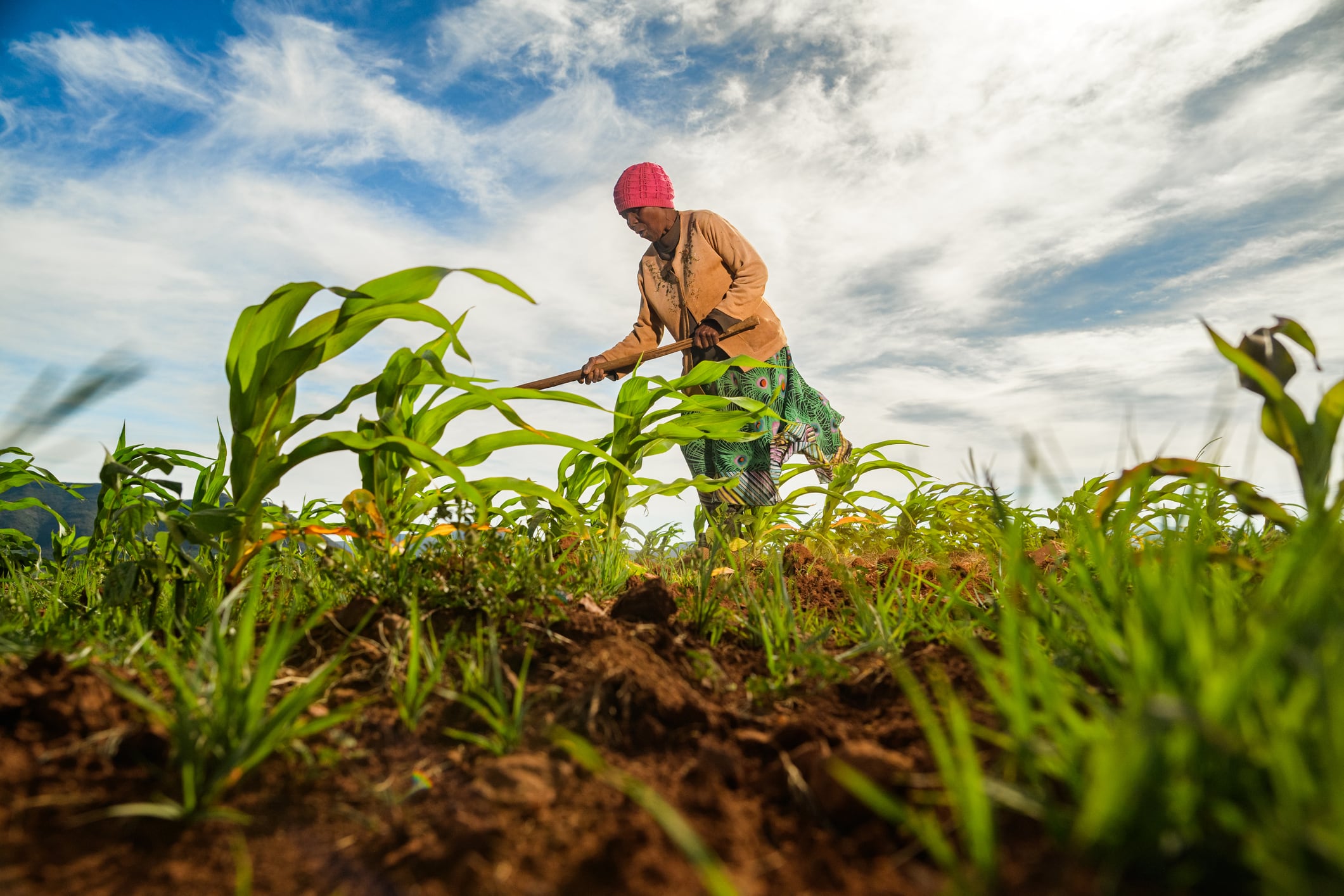 Transforming agriculture in an uncertain world needs strong and novel partnerships