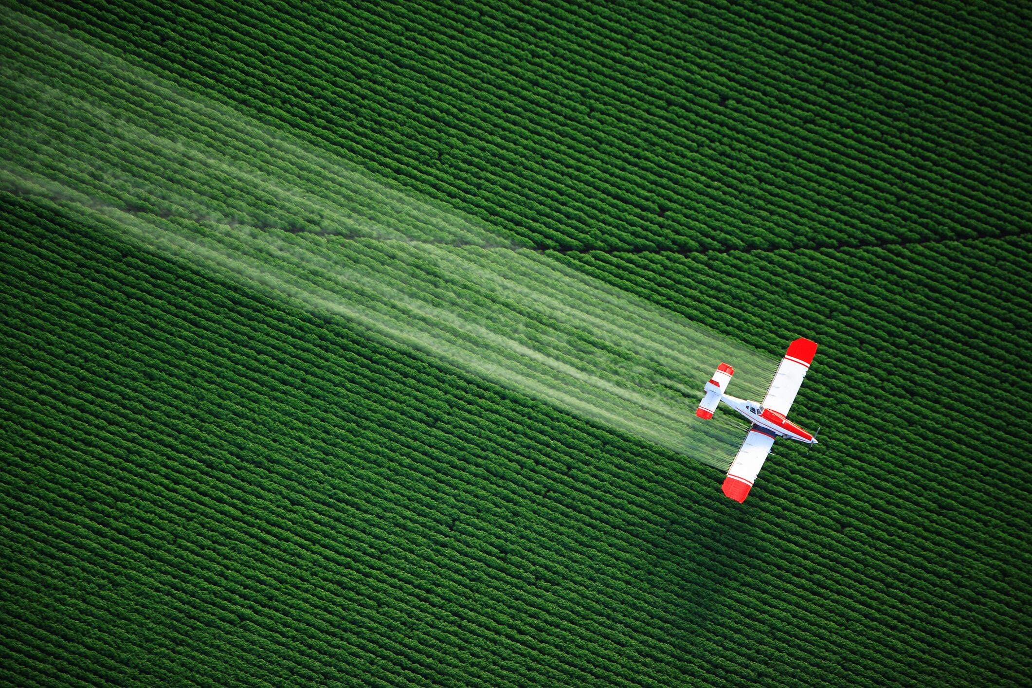 Biologicals could match chemical pesticide market size by 2040.