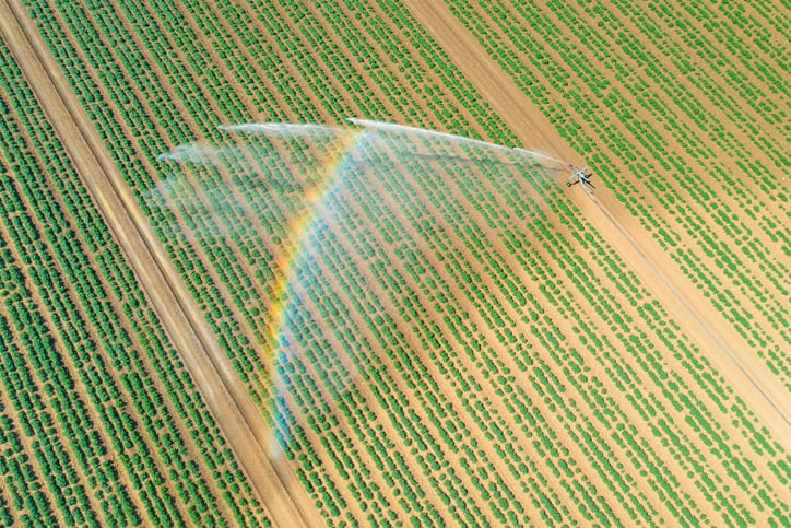 EU consumers increasingly exposed to ‘forever chemicals’ in fruit and vegetables, study warns