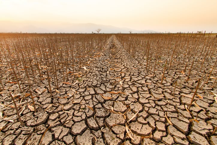 Early-warning-systems-eliminate-hunger-so-why-the-lack-of-investment.jpg