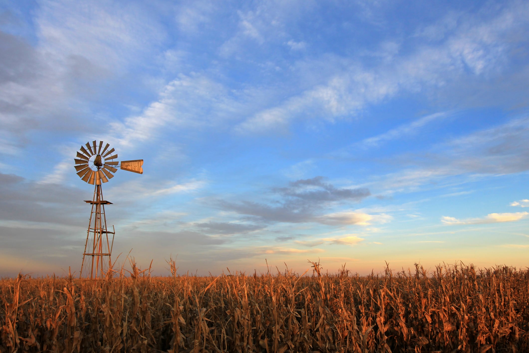 Argentina – the next agtech powerhouse? 