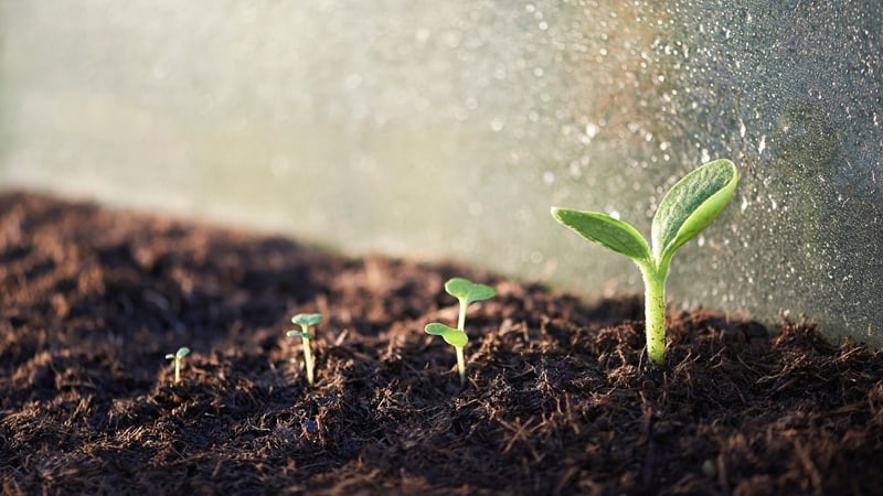 The AARL is making progress on restoring lands, with $9 billion in commitments from over 40 organizations.