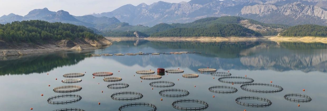 large scale aquaculture