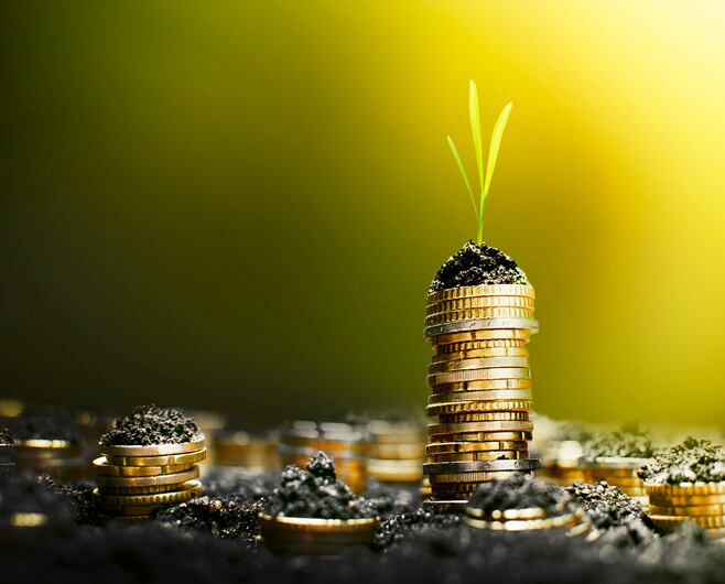 Why the agtech market is ‘primed to thrive’ in 2024: investor