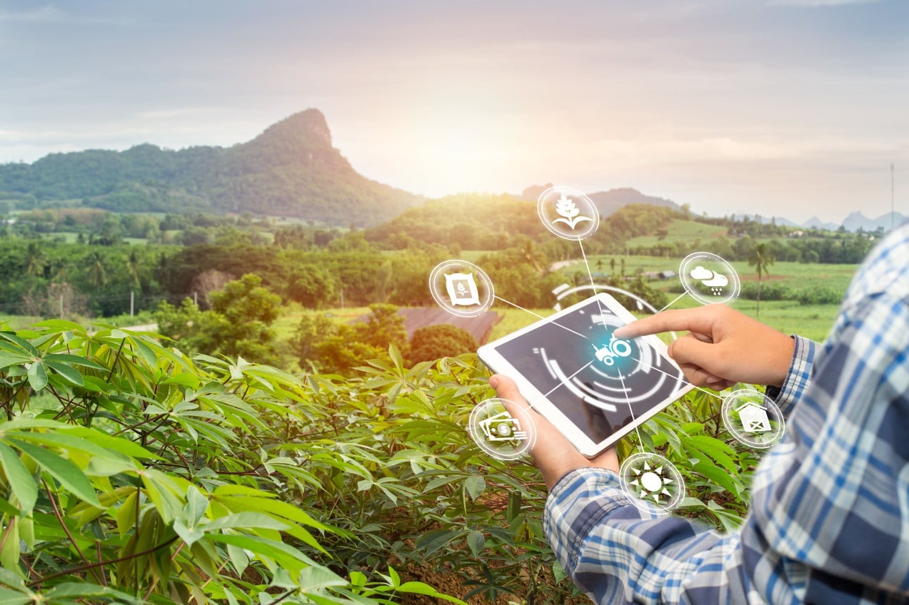 A clearer picture: New image tool can better classify plant diseases