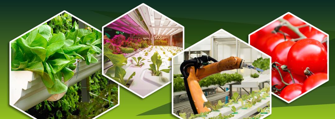 Vertical-Farming-CEA-Strategies-at-Indoor-AgTech-in-Chicago-2024.jpg