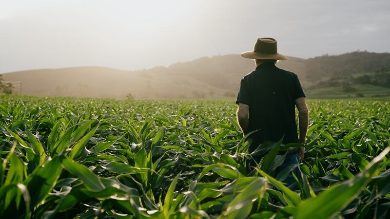 A Brazilian farmer in his field