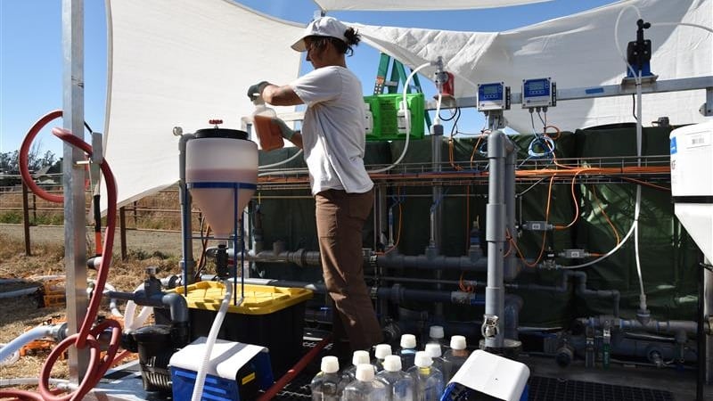Organic fertilizer: Windfall Bio achieves OMRI certification for flagship product