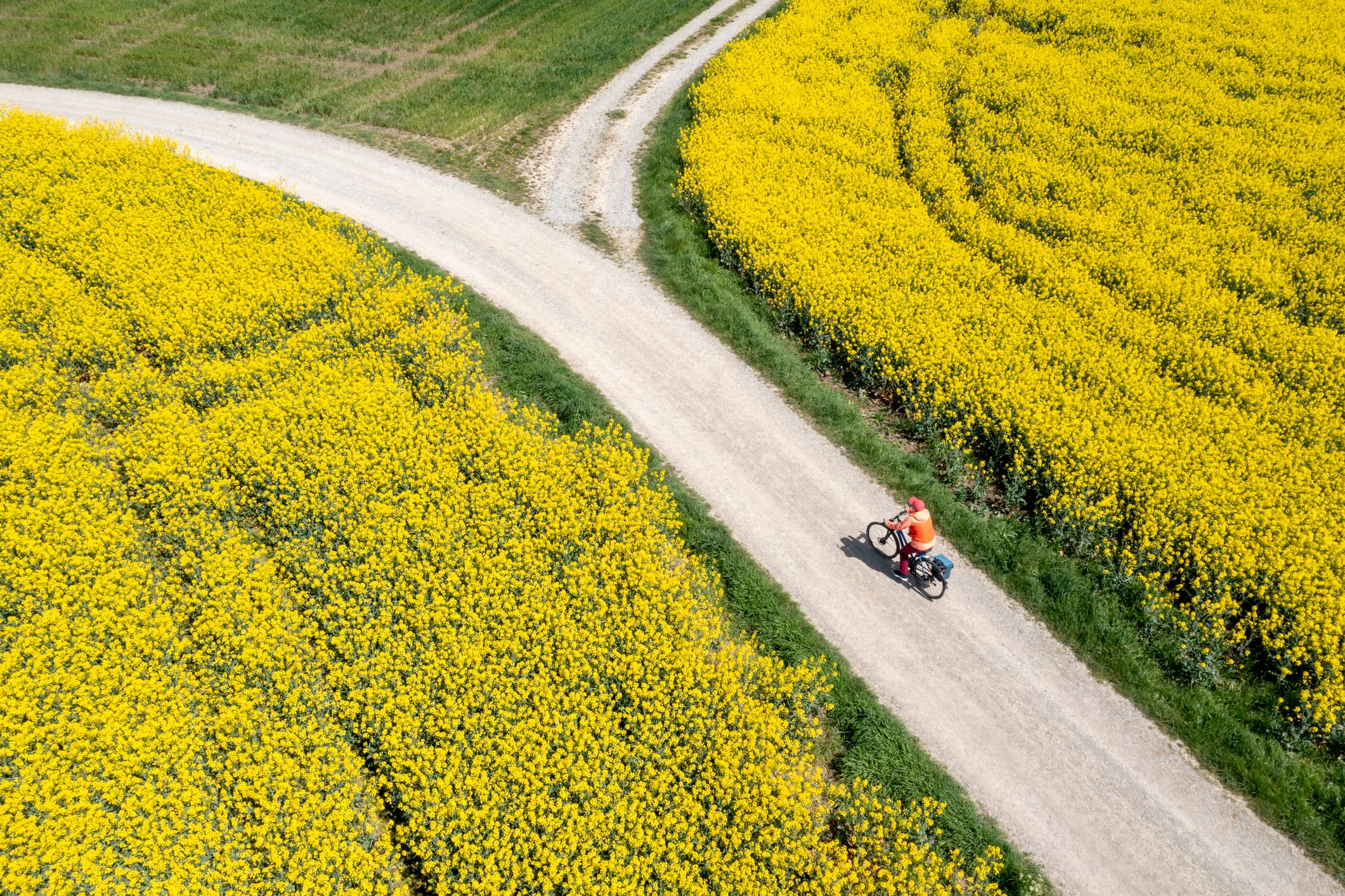 Primary crops are excluded from UK’s SAF mandate because of land use concerns. Meeting UK jet fuel demand entirely with rapeseed biofuel would require up to 68% of the UK’s agricultural land.