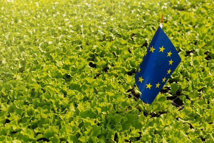 Imprecise-targets-limited-monitoring-prevent-EU-agriculture-sector-from-achieving-environmental-targets.jpg