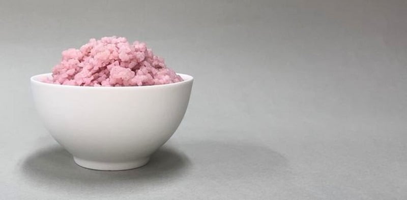Growing-animal-muscle-and-fat-cells-inside-rice-grains-Credit-Yonsei-University.jpg