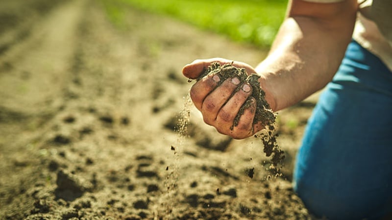 Mighty microbes: How biological innovations are playing an increasing role in agriculture and soil health