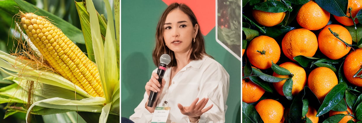 Speaker at World Agri-Tech Innovation Summit
