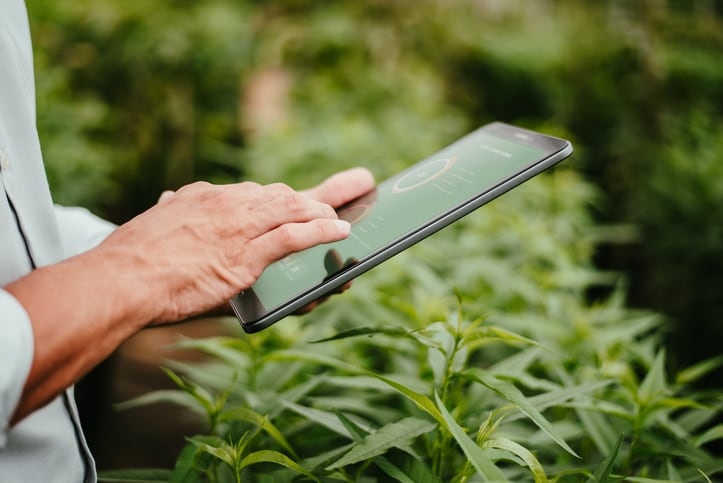 Gamaya and Terraview merger set to target ‘overlooked’ tropical crop sector