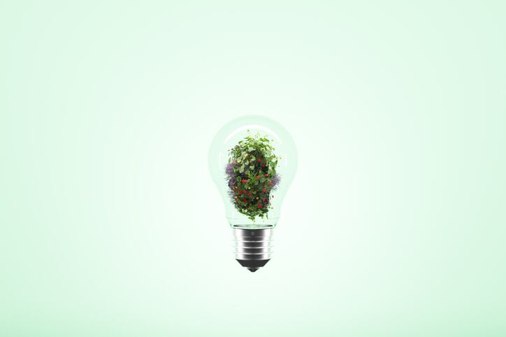 The future of EU agriculture: 14 key recommendations unveiled