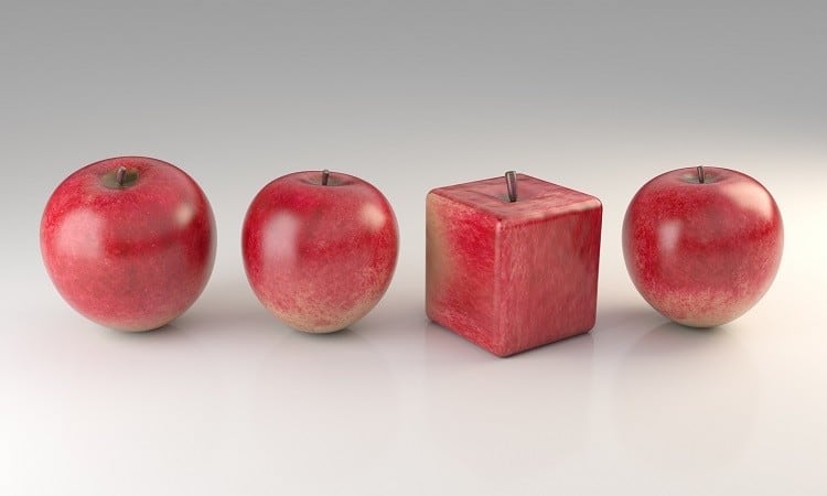 Ugly approach: Obsession with ‘aesthetic grading’ causes significant food loss, economic woe for farmers