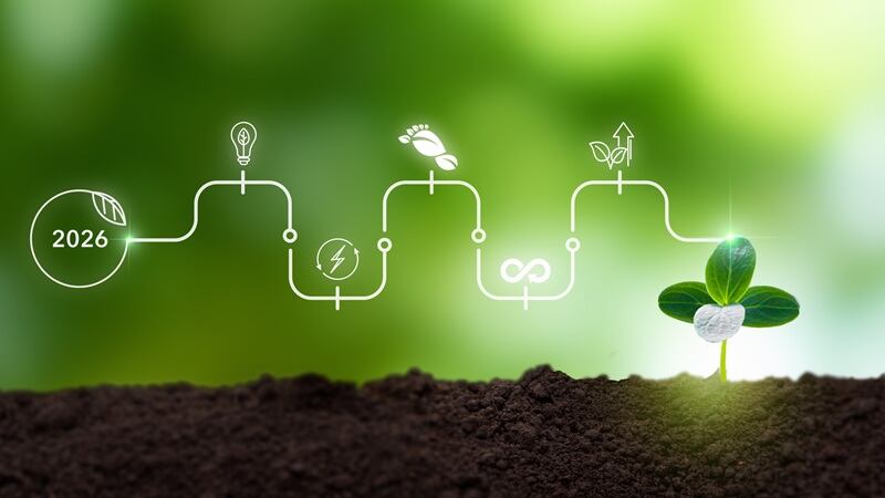 An image of a sapling with 2026 graphic