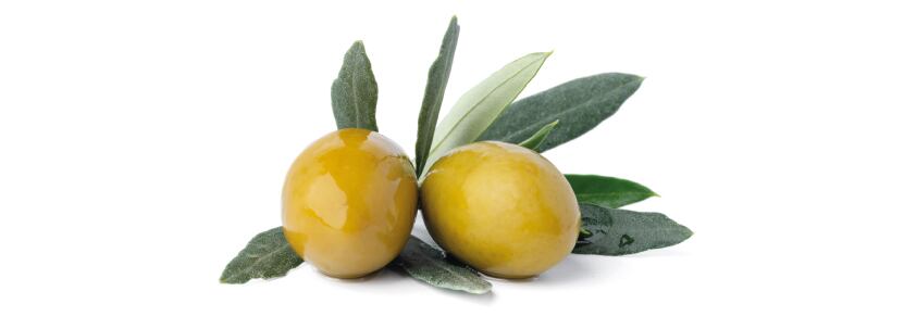 Olives with leaves