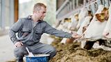 A new approach to improve margin and save feed cost in dairy production  