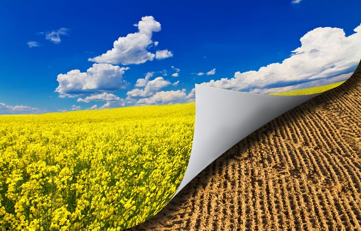 ‘Regenerative agriculture could reduce volatility in the feed system’