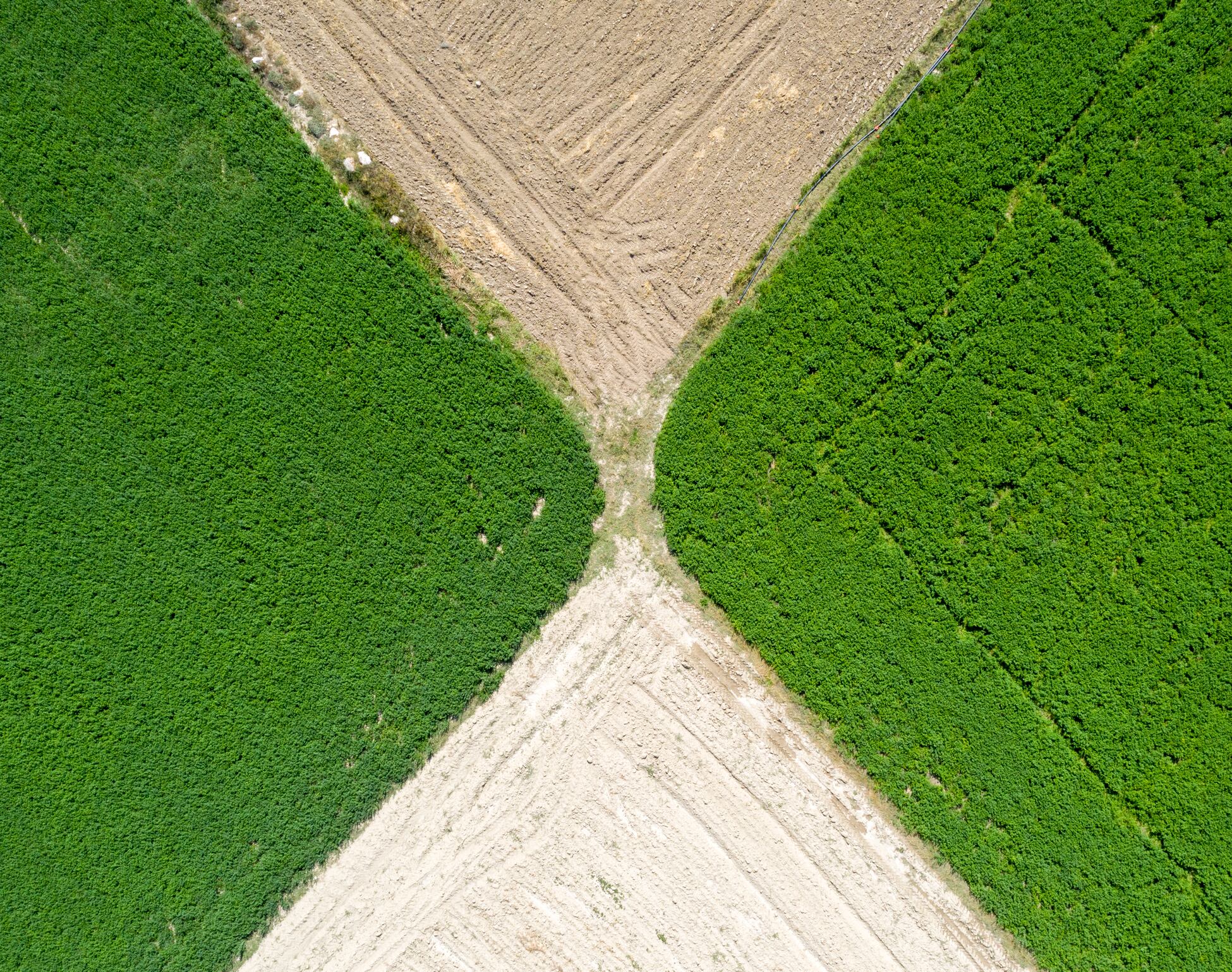 For farmers heading into another growing season of uncertainty, nitrogen – already one of the largest variable costs in arable production – is once again under the spotlight.