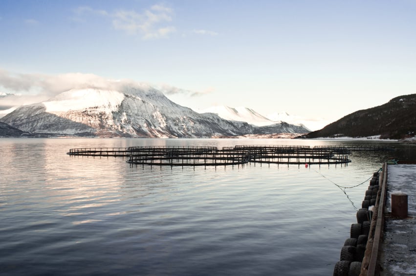 salmon-farm-norway.jpg