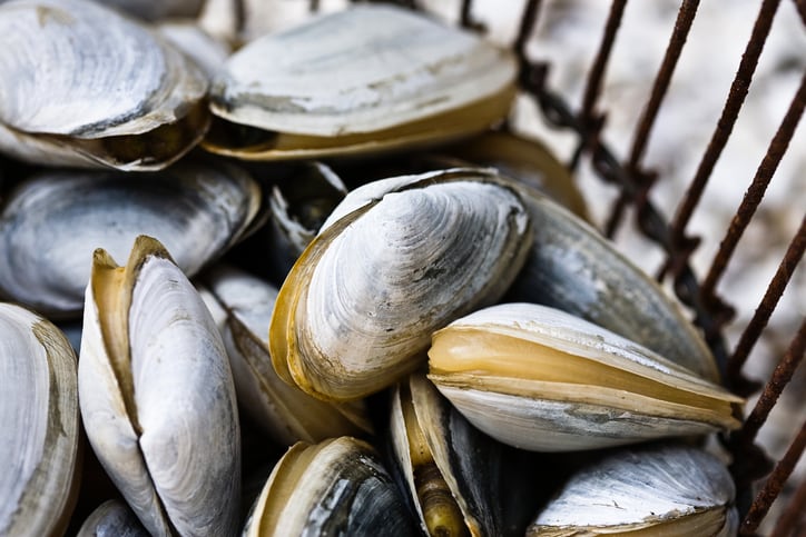 Meet the start-up aiming to unlock opportunities in Africa’s untapped seafood sector