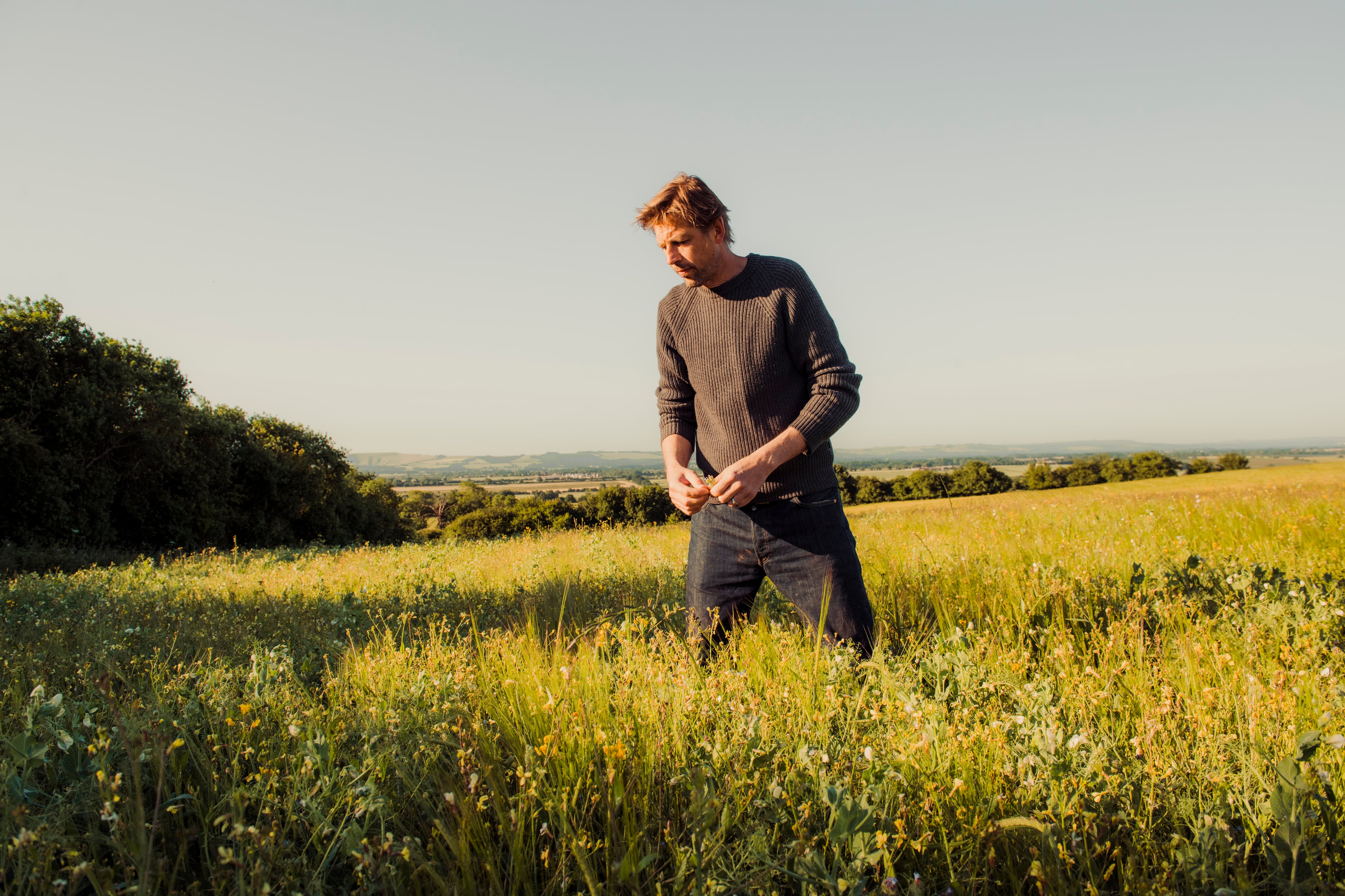 Wildfarmed’s Andy Cato: ‘Regenerative farming isn’t idealism – it’s inevitable’