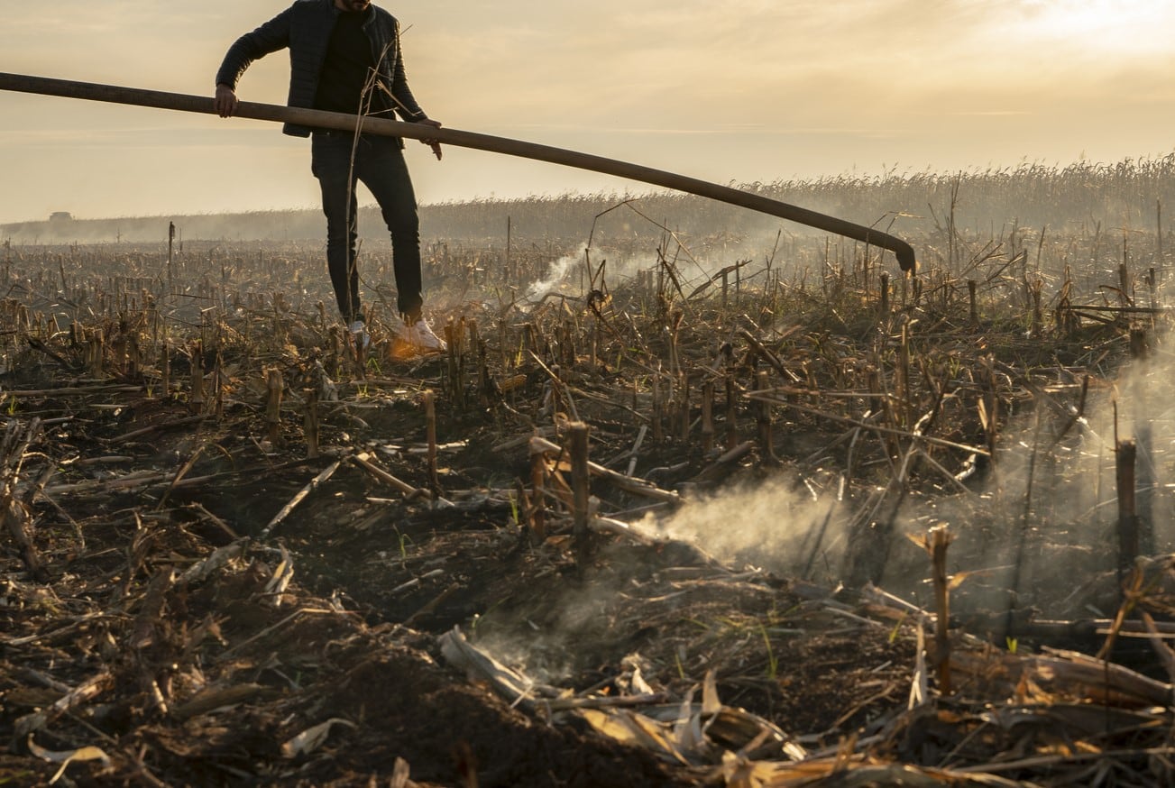 Fighting fire with biologicals: Living Roots aims to tackle slash-and-burn agriculture in SEA
