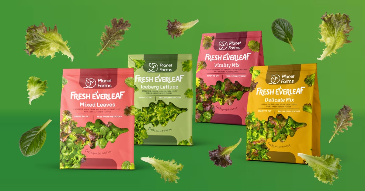The Fresh Everleaf range is the first vertically farmed salad range sold by Waitrose.