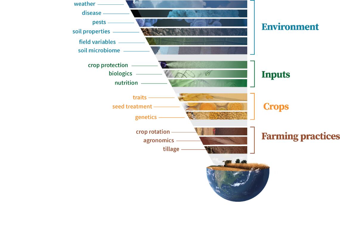 Impacts-on-Crops.jpg