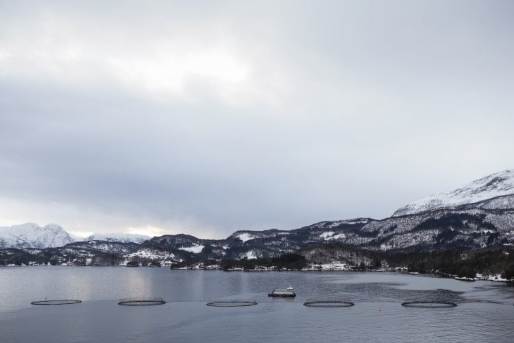 2019-001_LingaLaks-34-08e65434.jpg