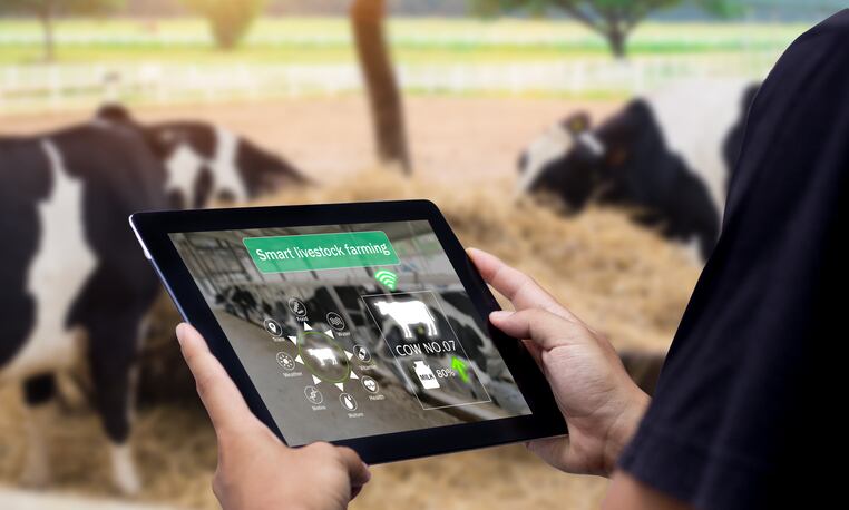 15 startups shaking up animal health, nutrition and precision farming