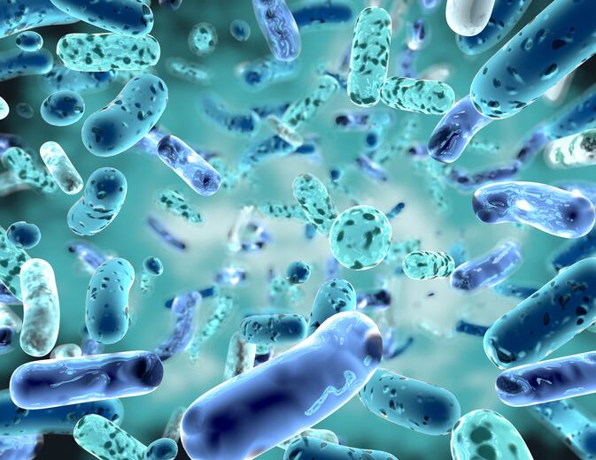 Next generation probiotics in monogastrics 