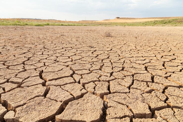 Drought: Spain’s grain imports set to break the 20 million tons ceiling