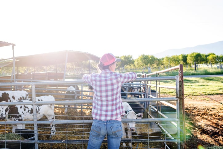 Nestlé milk supplier to cut methane emissions with feed additives 
